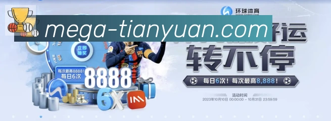 未来规划